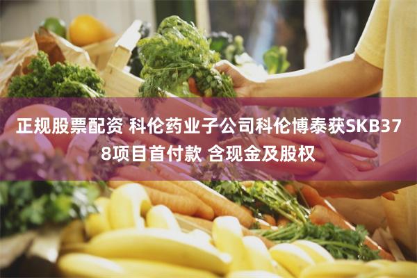 正规股票配资 科伦药业子公司科伦博泰获SKB378项目首付款 含现金及股权
