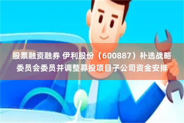 股票融资融券 伊利股份（600887）补选战略委员会委员并调整募投项目子公司资金安排