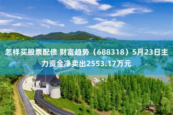 怎样买股票配债 财富趋势（688318）5月23日主力资金净卖出2553.17万元