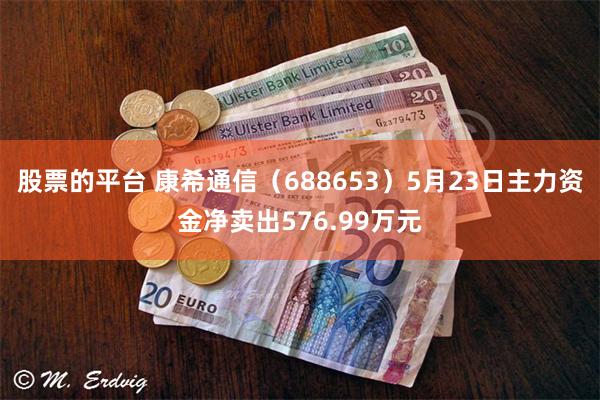 股票的平台 康希通信（688653）5月23日主力资金净卖出576.99万元