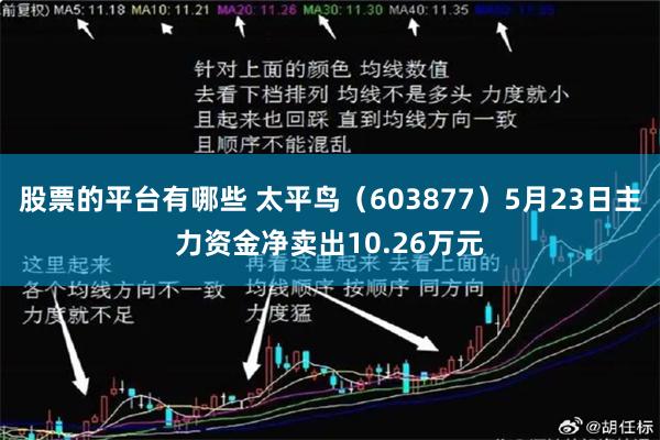 股票的平台有哪些 太平鸟（603877）5月23日主力资金净卖出10.26万元