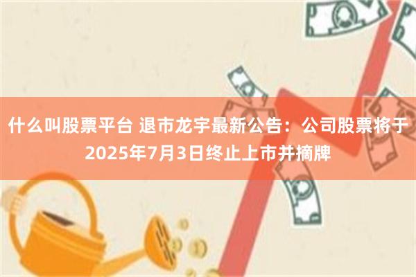 什么叫股票平台 退市龙宇最新公告：公司股票将于2025年7月3日终止上市并摘牌