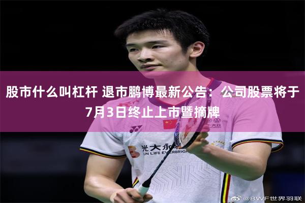 股市什么叫杠杆 退市鹏博最新公告：公司股票将于7月3日终止上市暨摘牌