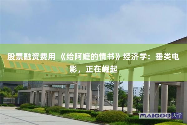 股票融资费用 《给阿嬷的情书》经济学：垂类电影，正在崛起