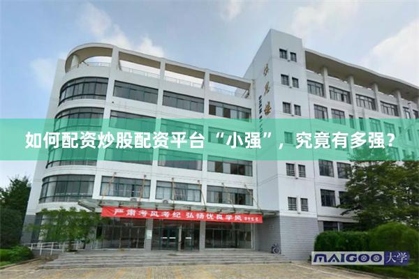 如何配资炒股配资平台 “小强”，究竟有多强？
