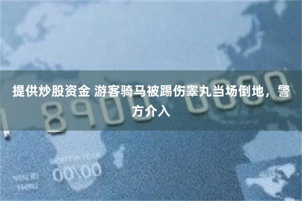 提供炒股资金 游客骑马被踢伤睾丸当场倒地，警方介入
