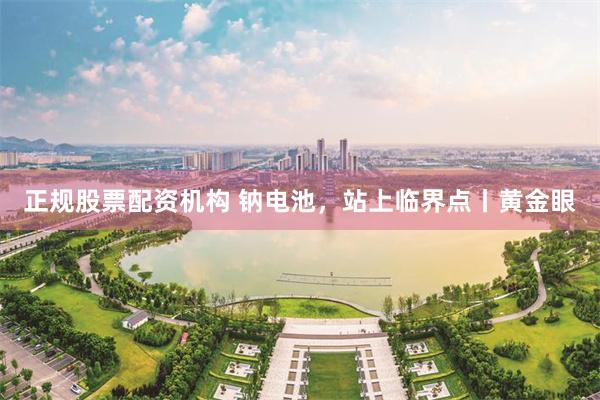 正规股票配资机构 钠电池，站上临界点丨黄金眼