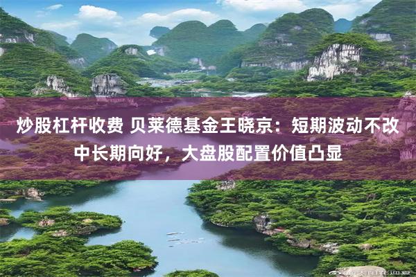 炒股杠杆收费 贝莱德基金王晓京：短期波动不改中长期向好，大盘股配置价值凸显