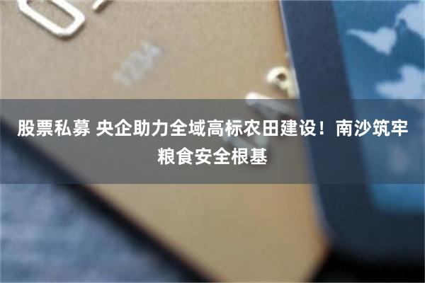股票私募 央企助力全域高标农田建设！南沙筑牢粮食安全根基
