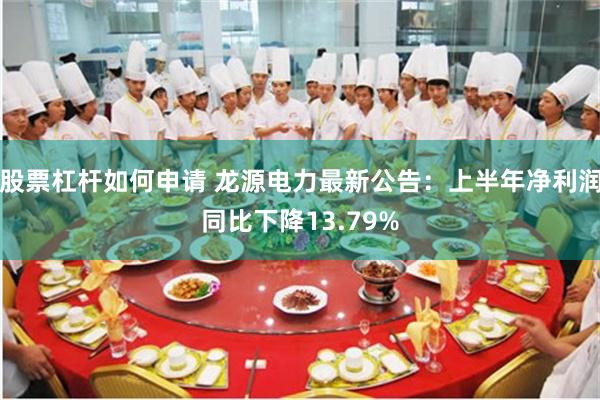 股票杠杆如何申请 龙源电力最新公告：上半年净利润同比下降13.79%