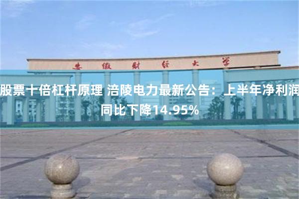 股票十倍杠杆原理 涪陵电力最新公告：上半年净利润同比下降14.95%