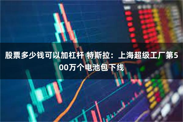 股票多少钱可以加杠杆 特斯拉：上海超级工厂第500万个电池包下线