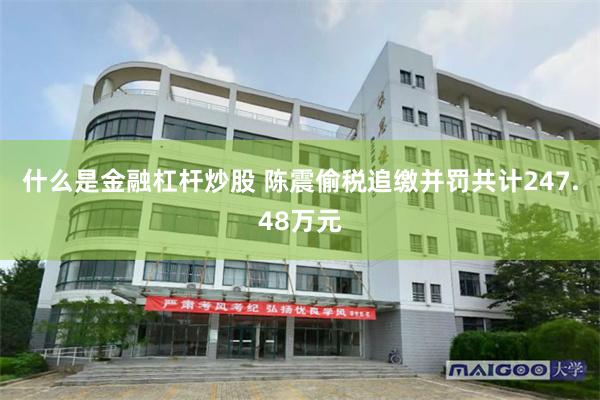 什么是金融杠杆炒股 陈震偷税追缴并罚共计247.48万元