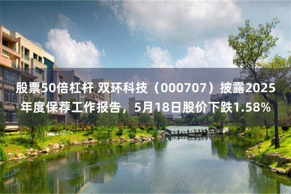 股票50倍杠杆 双环科技（000707）披露2025年度保荐工作报告，5月18日股价下跌1.58%