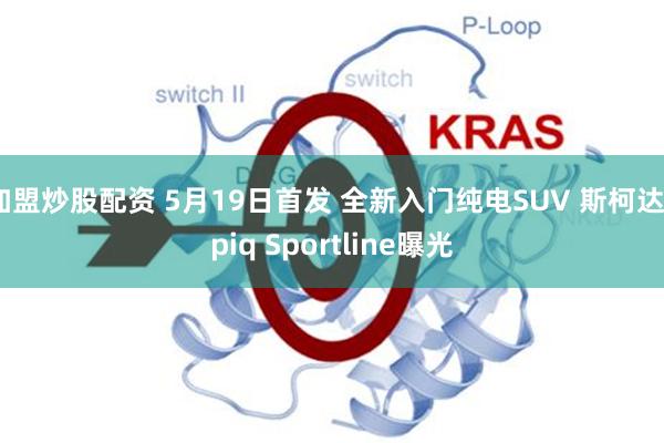 加盟炒股配资 5月19日首发 全新入门纯电SUV 斯柯达Epiq Sportline曝光