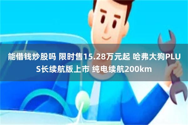 能借钱炒股吗 限时售15.28万元起 哈弗大狗PLUS长续航版上市 纯电续航200km