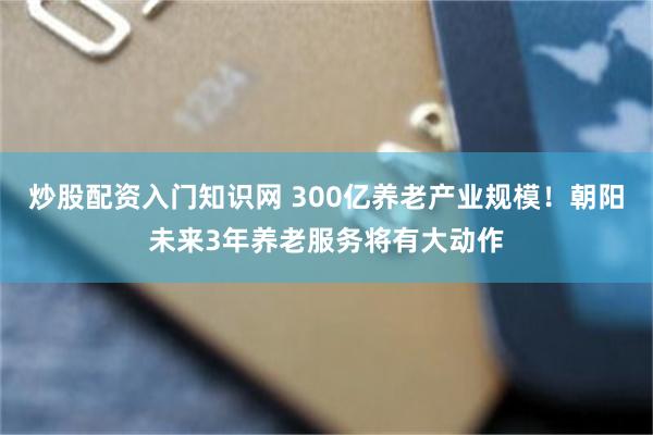 炒股配资入门知识网 300亿养老产业规模！朝阳未来3年养老服务将有大动作