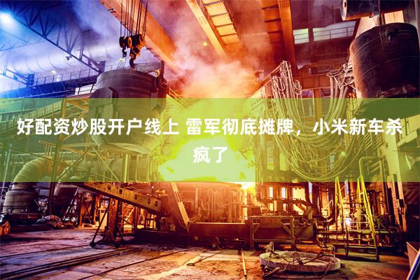 好配资炒股开户线上 雷军彻底摊牌，小米新车杀疯了
