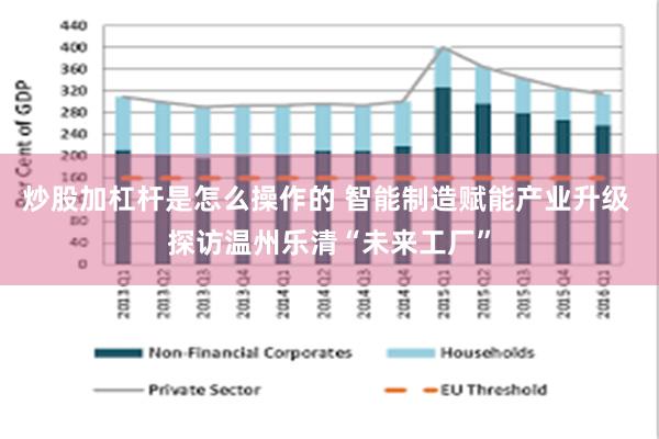 炒股加杠杆是怎么操作的 智能制造赋能产业升级 探访温州乐清“未来工厂”