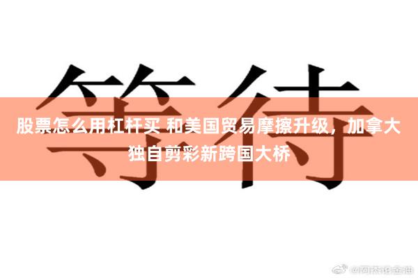 股票怎么用杠杆买 和美国贸易摩擦升级，加拿大独自剪彩新跨国大桥