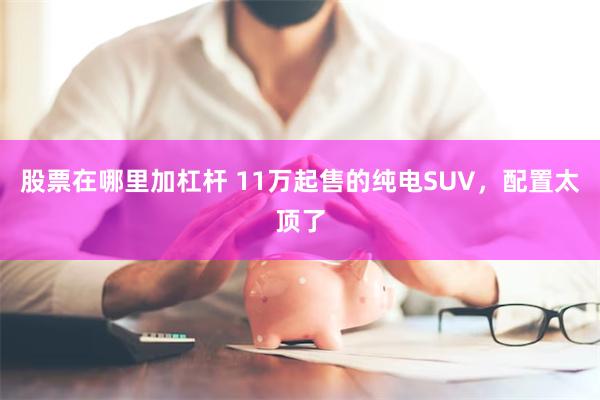 股票在哪里加杠杆 11万起售的纯电SUV，配置太顶了