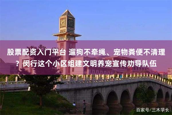 股票配资入门平台 遛狗不牵绳、宠物粪便不清理?闵行这个小区组建文明养宠宣传劝导队伍